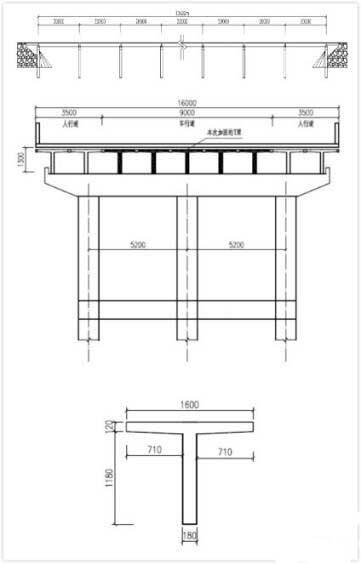 T-type bridge reinforcement with Horse carbon fiber plate